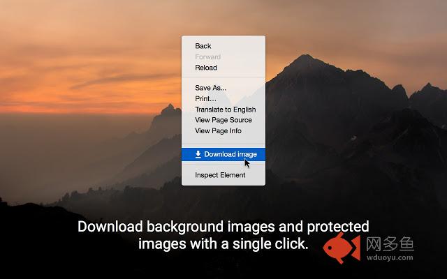 Image Downloader (beta)