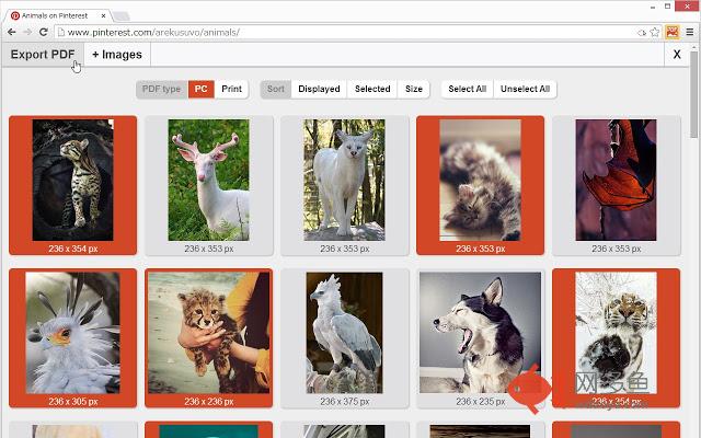 Image to PDF - dearprint