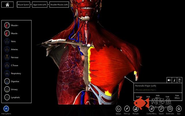 Essential Anatomy 3D Online