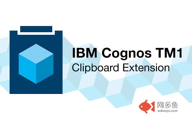 IBM Cognos TM1 Web Clipboard Extension