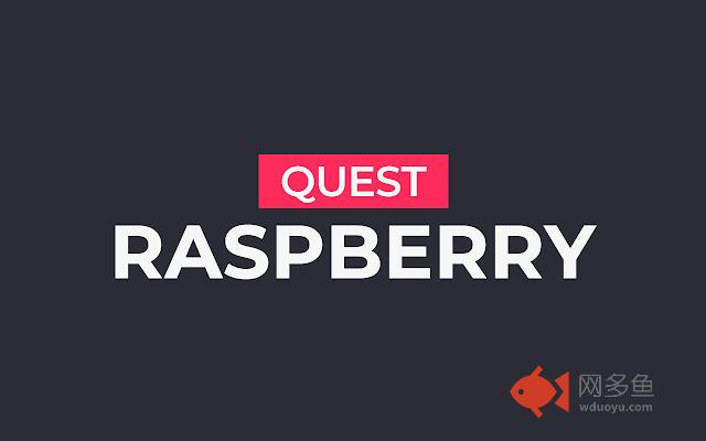 Quest Raspberry