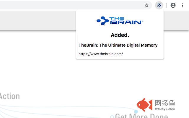 TheBrain - BrainBox