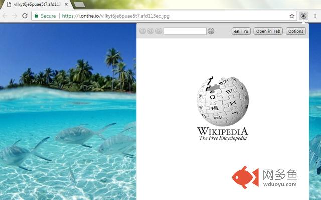 Lookup Companion for Wikipedia(Fixed version)