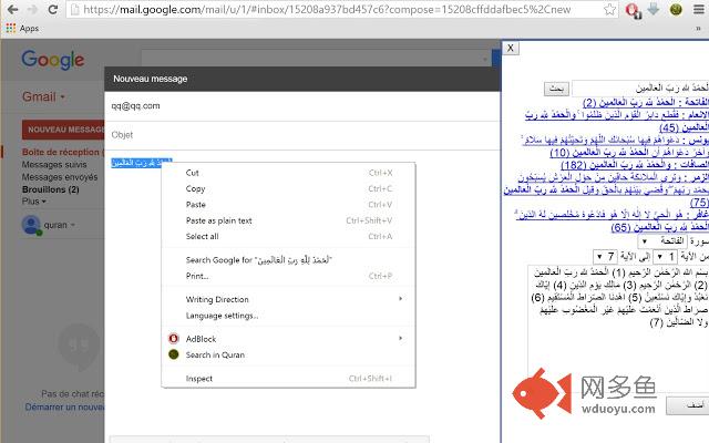 Quran Toolbar Chrome插件下载及使用教程 - 网多鱼