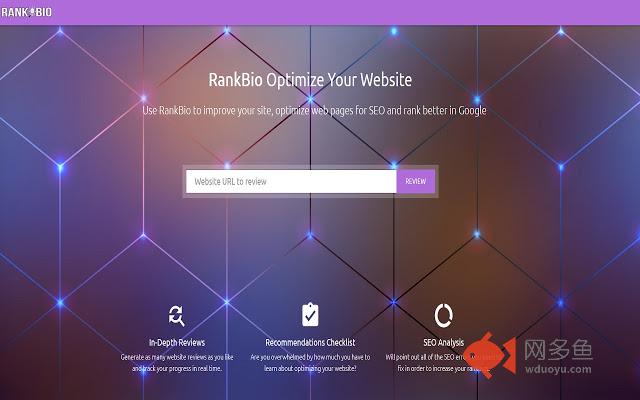 RankBio - SEO & Website Analysis