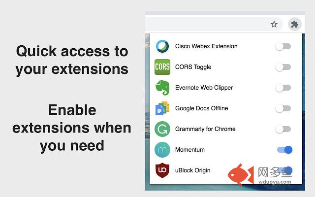 Extension Manager