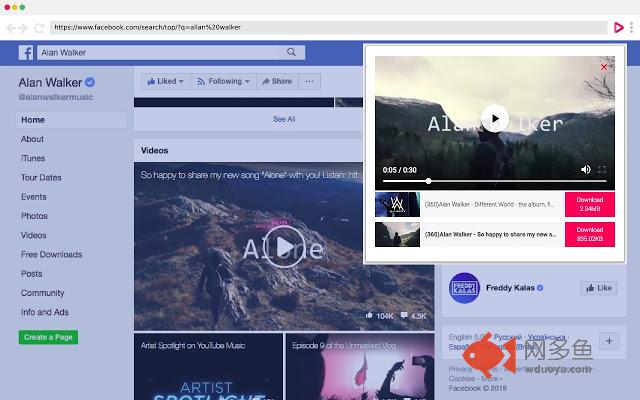 Video Downloader professional