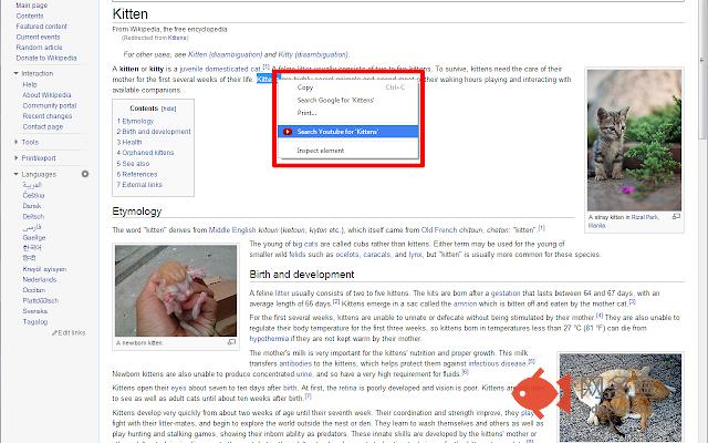 Contextual Search for YouTube