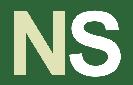 Right-Click Search Nisanyan插件截图