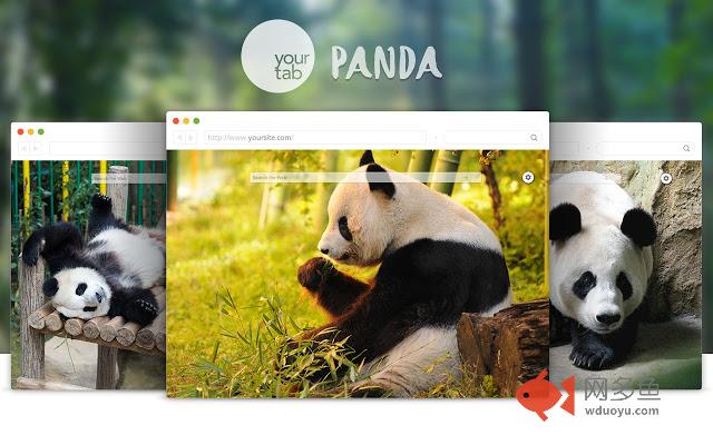 Your Panda tab!