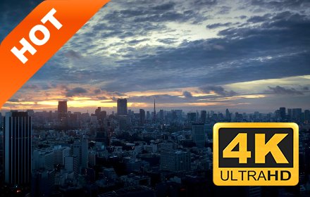 东京 流行城市 高清壁纸 新标签页 主题插件截图