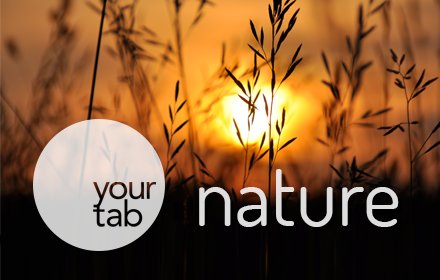 Your Nature tab!插件截图
