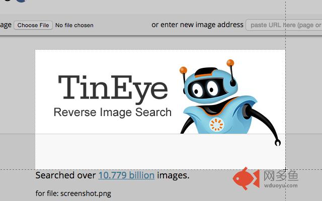 Reverse Image Search