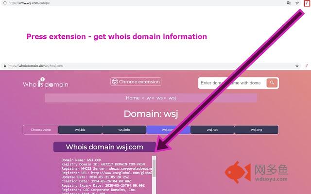 Whois domain lookup service插件截图