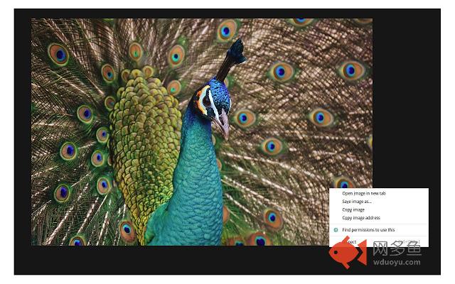 Permissions Finder, by the Copyright Hub插件截图