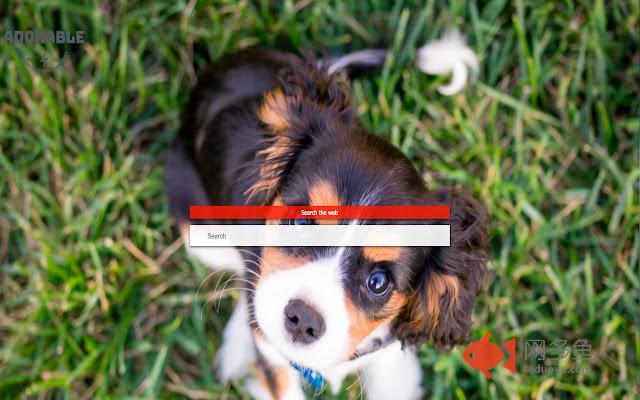 Adorable Puppies Custom Backgrounds