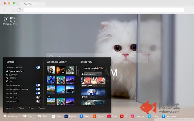 动物幼崽 新标签页 高清壁纸 流行可爱 主题