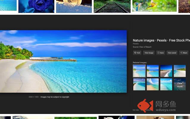 Google Images: View Images Button Adder
