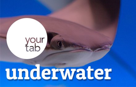 Your Underwater tab!插件截图