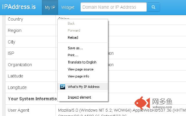 IPaddress.is IP address lookup插件截图