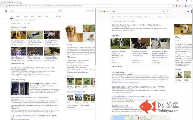 Double Shot Search: Query side-by-side插件截图