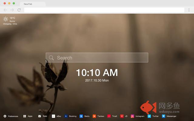 绿色植物 新标签页 高清壁纸 流行养眼 主题