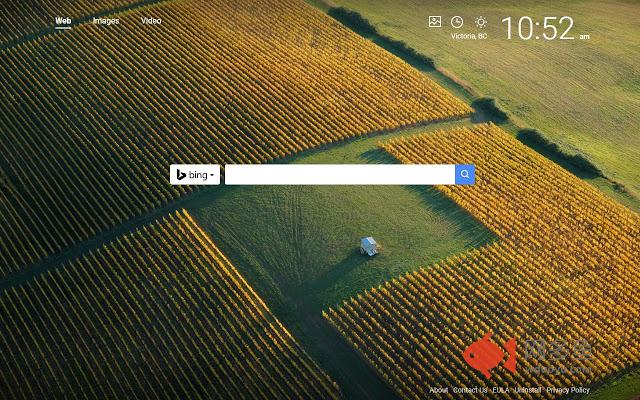 Selected Search