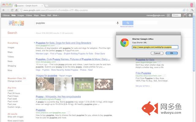 Shorter Google URLs