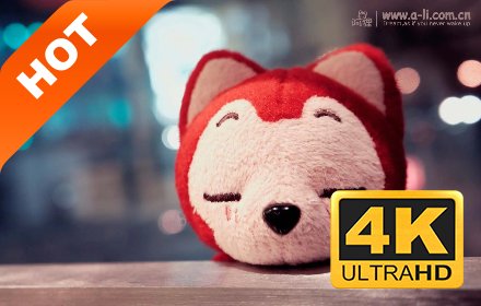 阿狸 新标签页 高清壁纸 流行卡通 主题插件截图