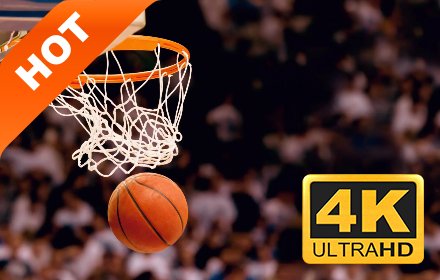 篮球 新标签页 高清壁纸 流行运动 主题插件截图