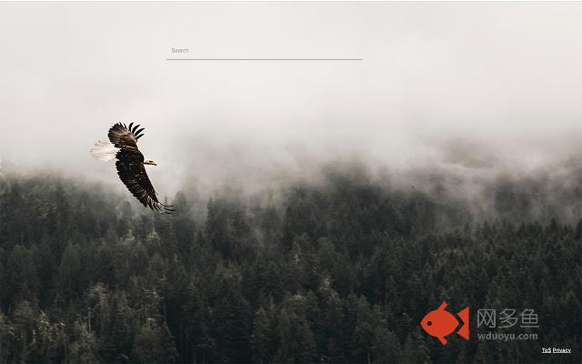 HD eagle Wallparers插件截图