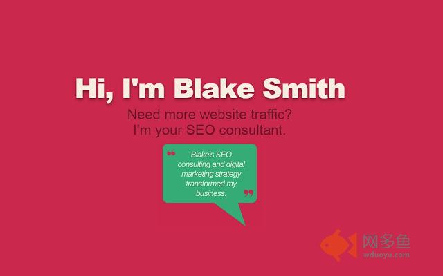 Blake Smith's SEO Consulting插件截图