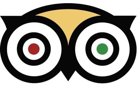 TripAdvisor review插件截图