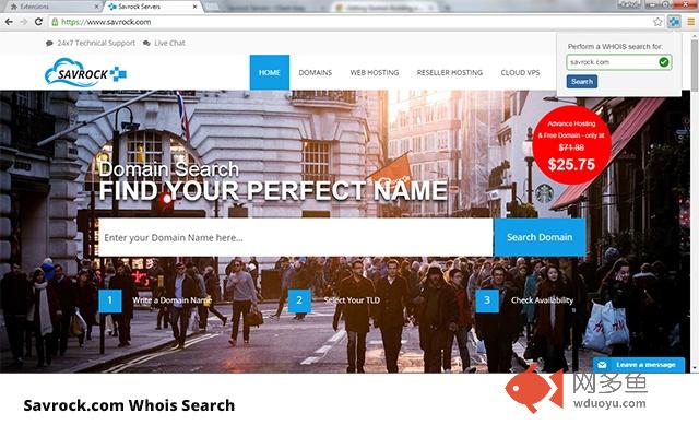 Savrock.com WHOIS Search插件截图