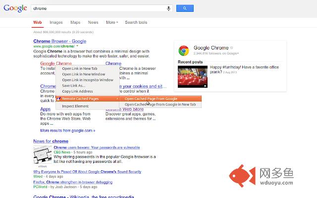 Remote Cached Pages插件截图