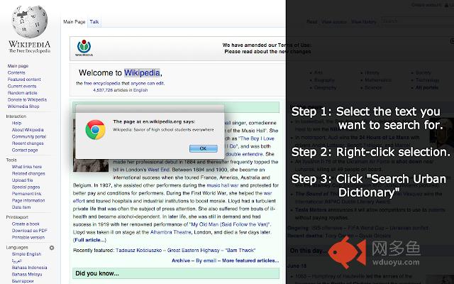 Urban Dictionary Quick Search插件截图