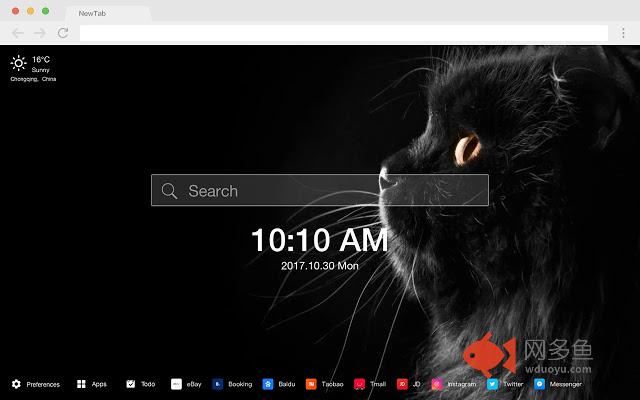 猫 新标签页 高清壁纸 流行宠物 主题插件截图