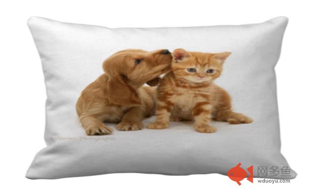 I love pets and all things pets