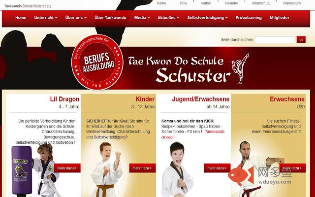 Taekwondo Schuster插件截图