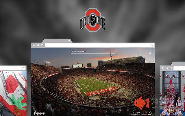 OFFICIAL Ohio State University New Tab Theme