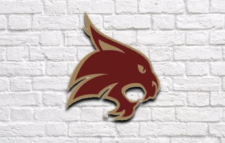 Texas State University New Tab插件截图