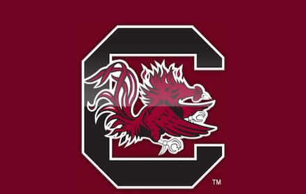 University of South Carolina New Tab插件截图