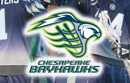 Chesapeake Bayhawks New Tab插件截图